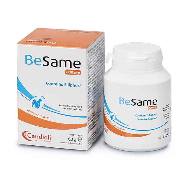 Candioli BeSame 200mg májvédő tabletta 30db – 1. kép