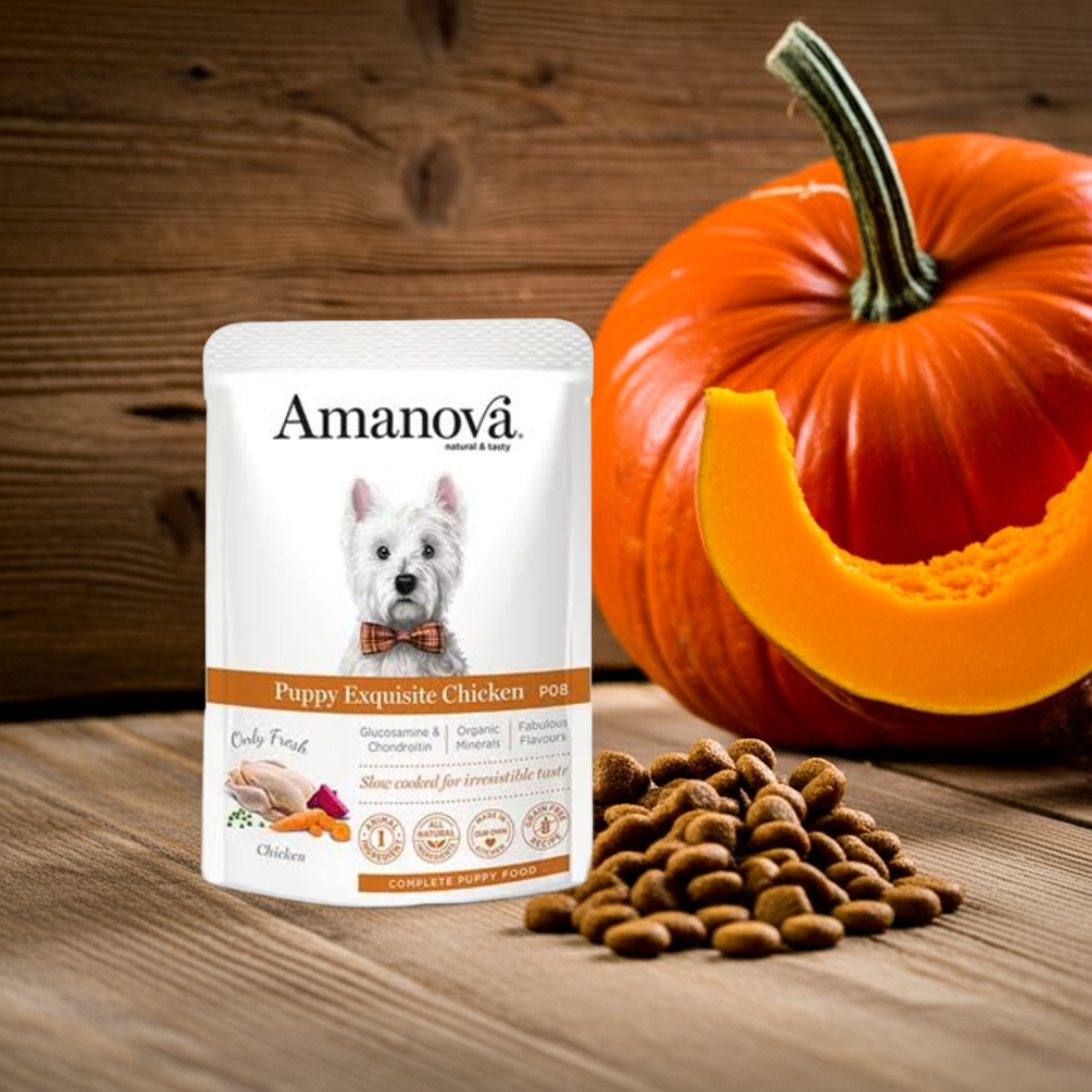 Amanova Dog GF Pouch Puppy Exquisite Chicken P08 100 g – 6. kép